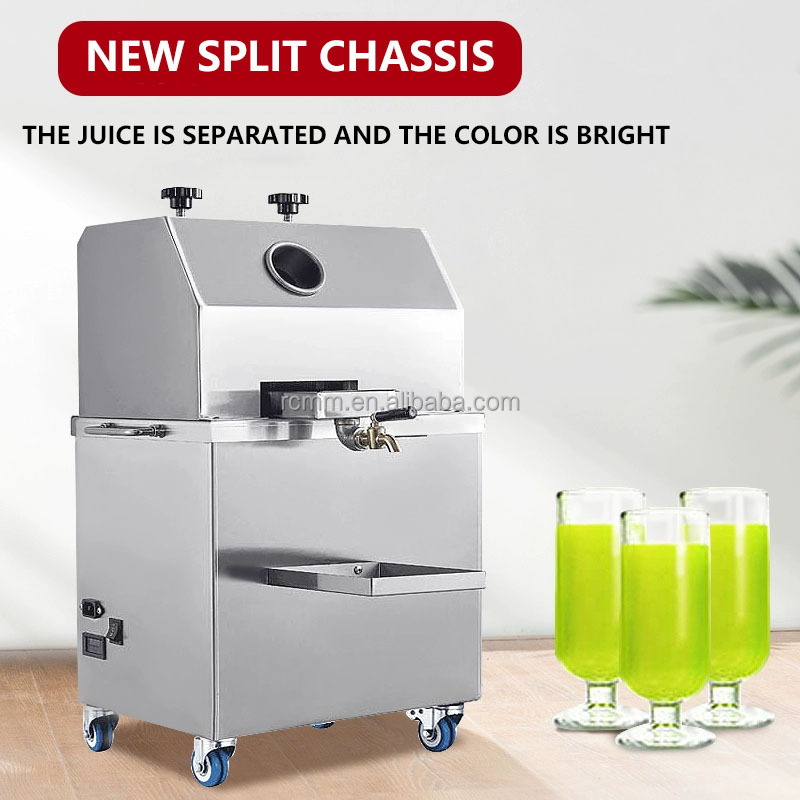 Nieuwe draagbare roestvrijstal - Commercial Kitchen Juicer recensie en prijs